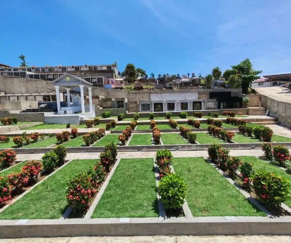 Traditional-Single-Burial-Plot